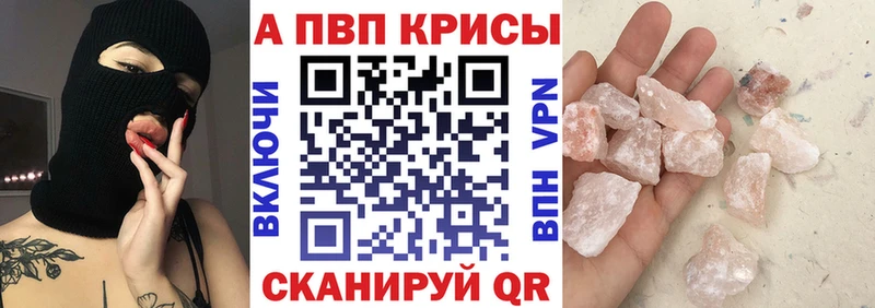 A PVP СК КРИС Курчалой