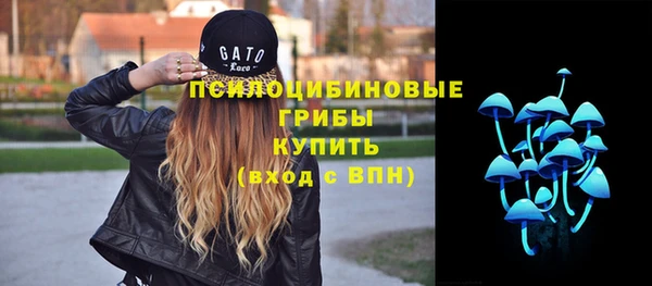 твердый Алзамай