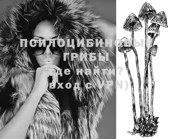MDMA Premium VHQ Алексеевка