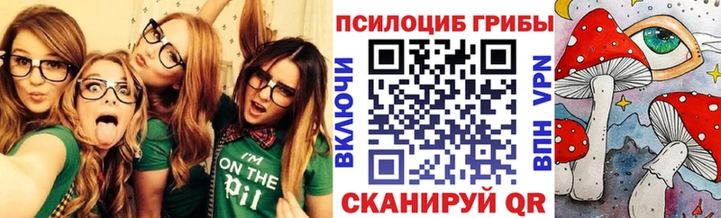 даркнет состав Курчалой Галлюциногенные грибы мухоморы