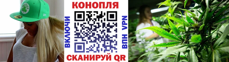 Шишки марихуана Amnesia Курчалой